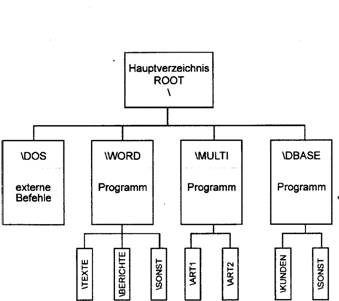 DOS-Organisation